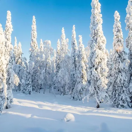 Vuosselinhovi C By Interhome Casa vacanze Ruka