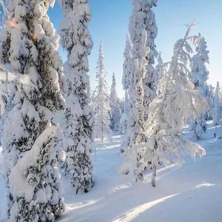 Vuosselinhovi C By Interhome רוקה