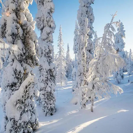 Casa vacanze Vuosselinhovi C By Interhome Ruka