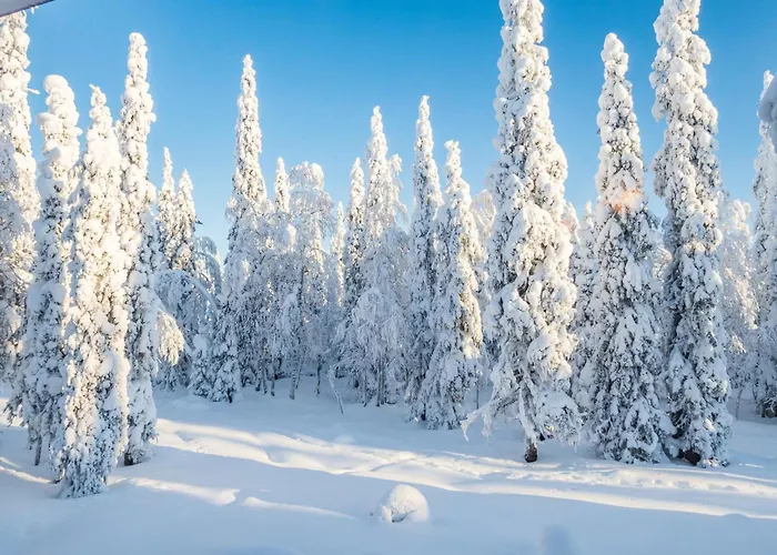 Ferienhaus Vuosselinhovi C By Interhome Ruka