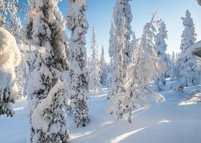 Ferienhaus Vuosselinhovi C By Interhome Ruka